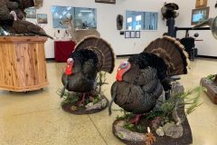 E8A731DC-0E3B-48FE-A343-DDF74BF1145E