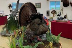 F425DC85-6776-4CD7-82C9-941C01A40D4B