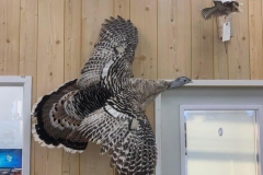 F7DE7CD5-6D7A-40B0-AE81-3C4C7E56B22D