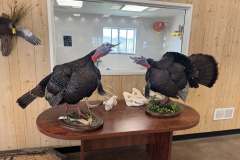 Gobblers-