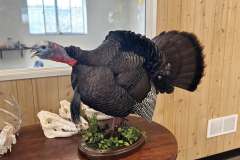 Gobblers-3