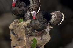 Photoroom_20250409_084214