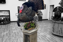 Photoroom_20250409_084553