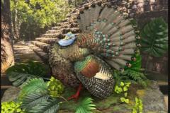 turkey