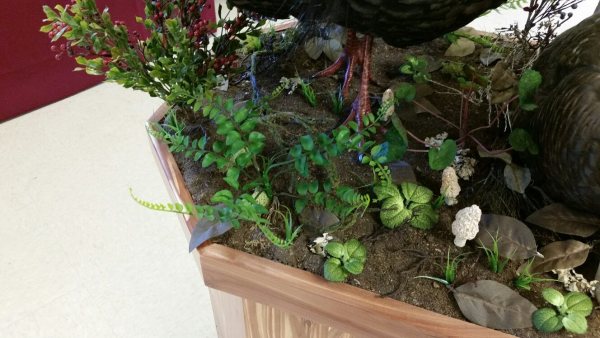 Close-up of the lush habitat base with ferns, moss and rocks on a multiple turkey display. Built at Stehling’s Taxidermy in Jefferson, Wisconsin.