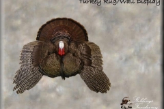 turkey46