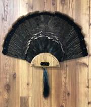 19642376_1768454346516268_3171629250380374805_n