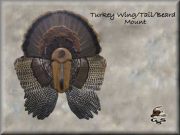 turkey33