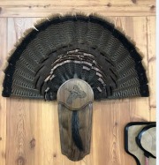 walnut with flying turkey