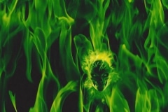 GREEN-FLAMES-WITH-SKULLS