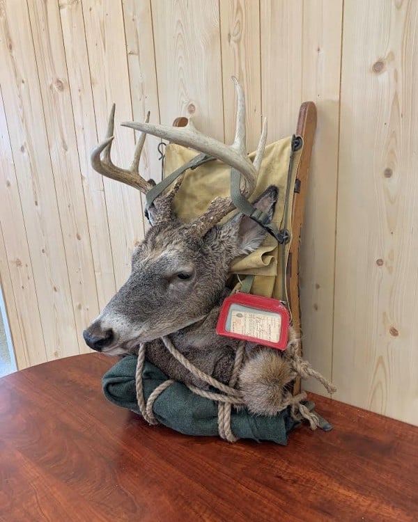 Whitetail buck pack mount on a rustic pack frame, Stehling's Taxidermy, Wisconsin