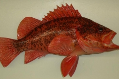 rockfish replica