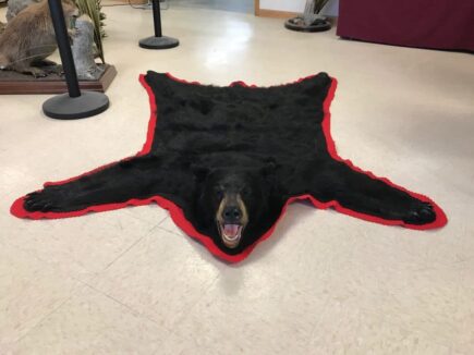 bear rugs