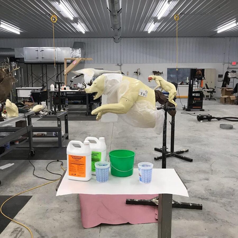 From modifications a a bear mount