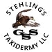 Stehling's Taxidermy