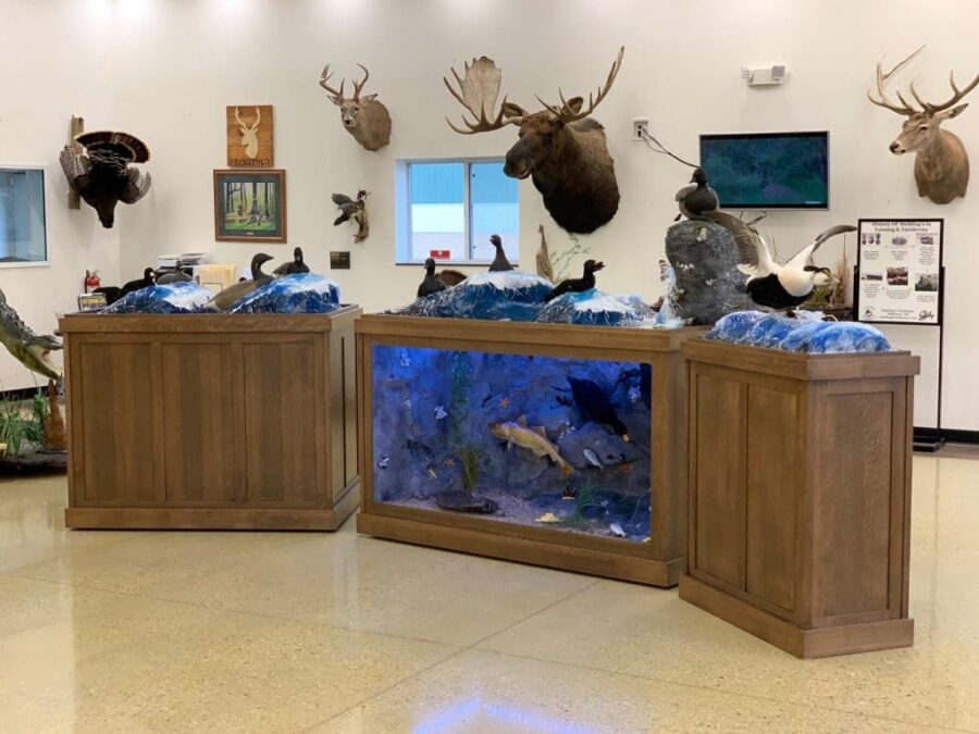 wave water scene display
