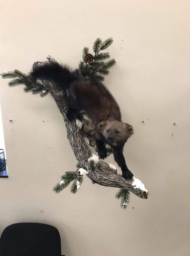 Walking Down Fisher Mount 