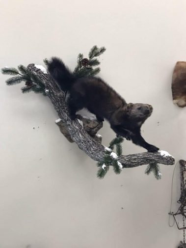 Walking Down Fisher Mount 