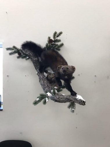 Walking Down Fisher Mount 