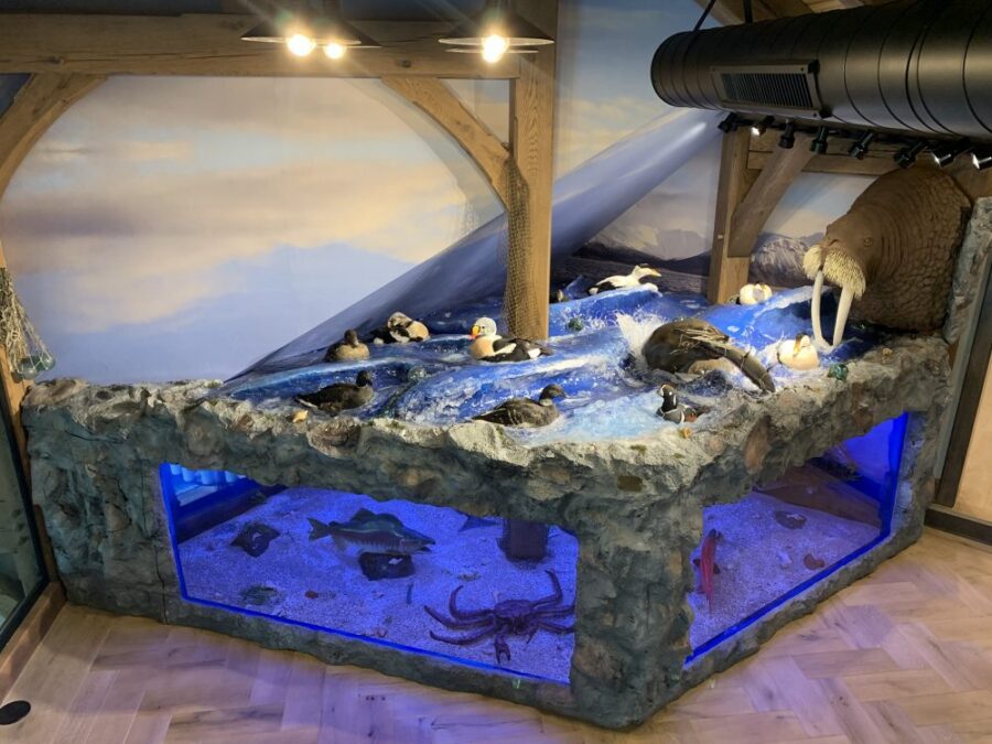 Bearing Sea Custom Water Build Taxidermy