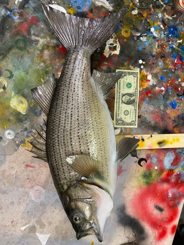 Stehlings Taxidermy Planet Taxidermy Mounts Birds Waterfowl alligators fish turkey birds