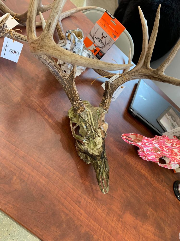 Hydro Dipping skulls, whitetail deer skull mounts euro , European mounts, camo dipping hydro dipping tanks taxidermy stehlings