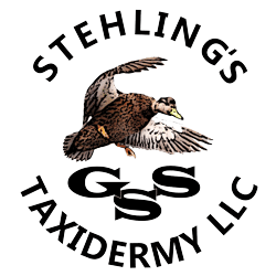 Stehling's Taxidermy