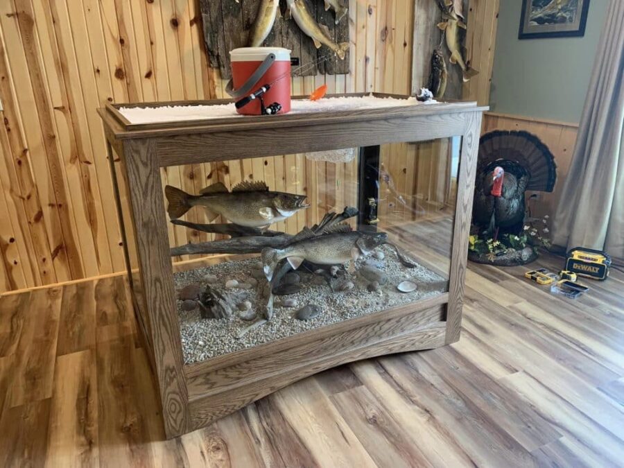 walleye ice fishing scene stehlings taxidermy