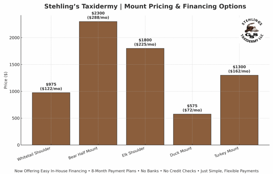 Stehlings Taxidermy Financing options Stehlings Taxidermy Financing options