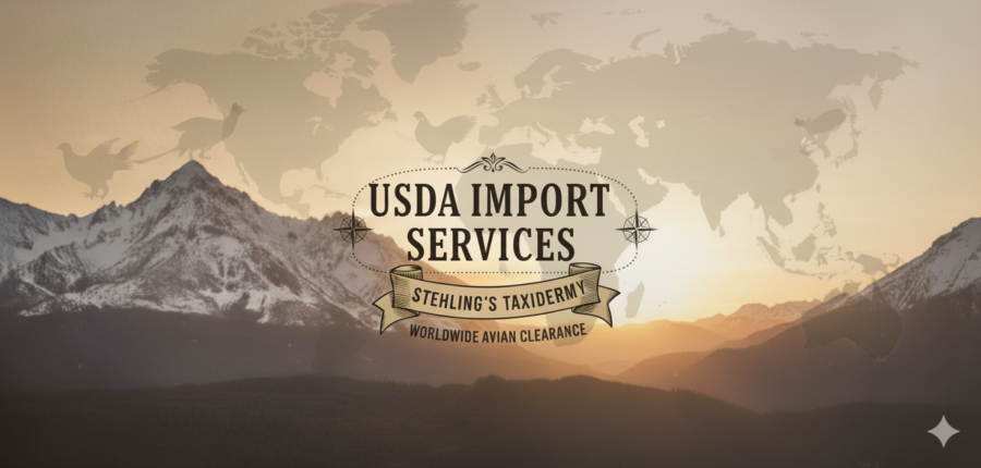 USDA Import Services Stehlings Taxidermy USDA Import Services Stehlings Taxidermy
