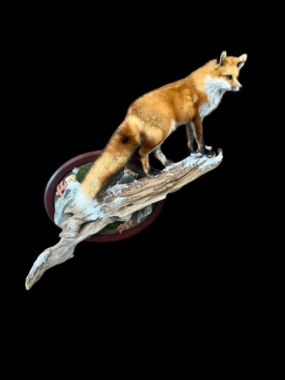 small game taxidermy