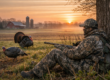Northern Illinois Turkey Hunting Guide: Best Areas, Tactics, and What to Do After the Harvest
