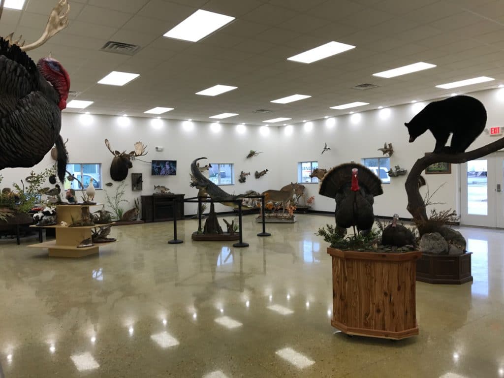Jefferson showroom floor with mounts from around the world