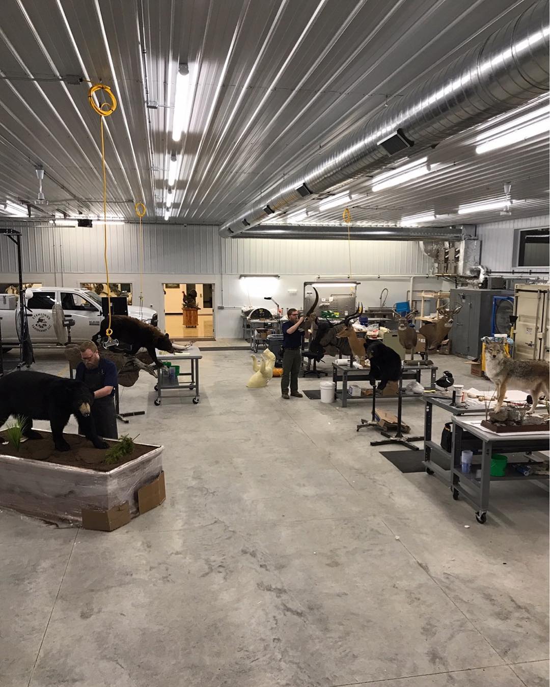 Inside the Jefferson flagship taxidermy studio
