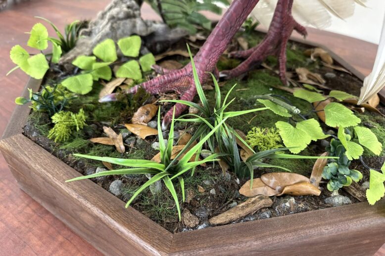 How Long Does Turkey Taxidermy Take? Timeline and Process Explained Stehlings Taxidermy