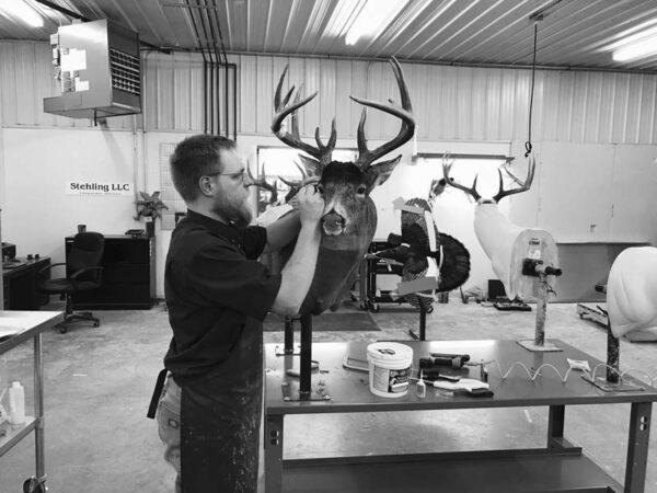 Detail work at the Stehling's Taxidermy studio