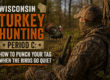 Wisconsin turkey hunter in camo watching a strutting tom in the spring woods — Period C tactics